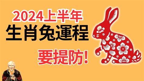 2024兔年運程1987|1987年属兔2024年的运势及运程 1987年属兔2024年每月运势完整。